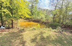 212 Wayne 522, Wappapello, MO 63966