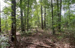 hwy 69, Gallion, AL 36742
