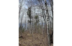 Net River Road, Crystal Falls, MI 49920