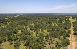 109 County Rd 530, Mullin, TX 76864