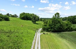600 Lee Keen Road, Franklin, KY 42134