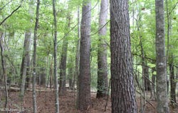 NE Hopewell Road, Brookhaven, MS 39601