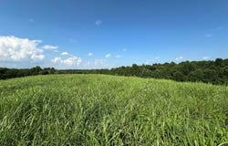 Tract #22 Statham Rd, Liberty, KY 42539
