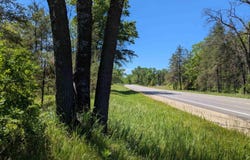 Road TBD, Bitely, MI 49309