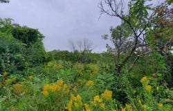 941 S Fulton Ave lot: 24, Sturgeon Bay, WI 54235
