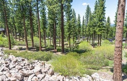 8143 Fallen Leaf Way, Truckee, CA 96161