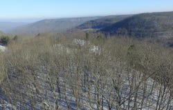 Bear Knob Rd, Crawford, TN 38554