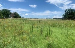 12571 Gholson Road, Gholson, TX 76705