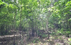 135 Worden Road, Bald Knob, AR 72010