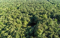 0 0 SE Rocky Rd/Ball Rd, Bradford, AR 72020