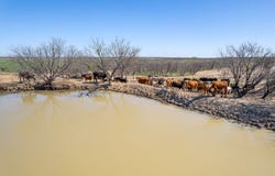 Cr 300, Coleman, TX 76834