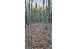 0 Eagle Eye, Tiger, GA 30576