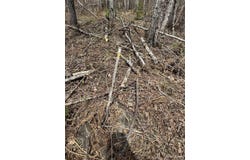 Net River Road, Crystal Falls, MI 49920