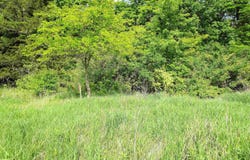 1010 Palisades Court, Iowa Falls, IA 50126