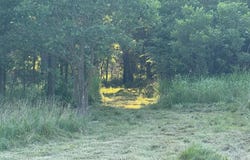 Pecan Valley Tract #60 Road, Tecumseh, OK 74873