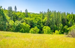 6281 Bear Creek Road, Garden Valley, CA 95633