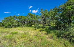 613 Cattle Creek Road, Johnson City, TX 78636