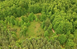 3982 SE Mitchell Road, Kalkaska, MI 49646