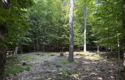 0 Indian Rock Trail Trail, Saranac Lake, NY 12983
