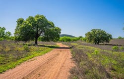 5230 County Road 409, Valley Spring, TX 76885