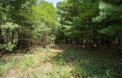 9.73 acres E Flint Street, Lyndon Station, WI 53944