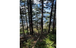 Lot #7 Cape Jellison Road, Stockton Springs, ME 04981
