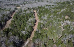 1812 Jackson 5, Bradford, AR 72020