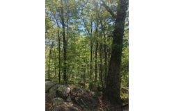 Tract 14 Weldon Rd., Edgemont, AR 72067