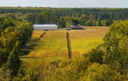 State 200, Laporte, MN 56461