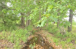 Greene 611, Paragould, AR 72450