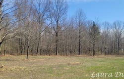 VL 60th Street Parcel B, Fennville, MI 49408
