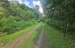 6245 Buffalo, Oneida, TN 37841