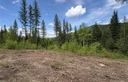 1768 Old Tally Lake Road, Whitefish, MT 59937