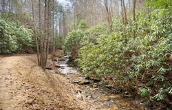 325 Trickling Branch Way, Murphy, NC 28906