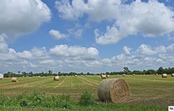 County RD P33 Parcel #890028994, Blair, NE 68008