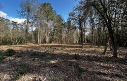 Lakeside Dr, Carriere, MS 39426