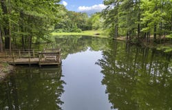 1629 Kimbell Road, Terry, MS 39170