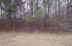 HIGHWAY 280 lot: 1, HARPERSVILLE, AL 35078