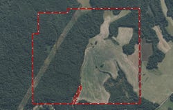 Spillers Road, Potts Camp, MS 38659