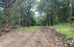 TBD2 Stevenson Road, Pencil Bluff, AR 71965