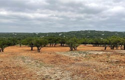 13590 Paisano TRL, Austin, TX 78737