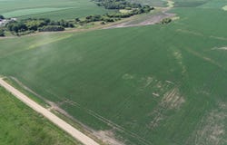3726 250th St, George, IA 51237