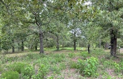 62 BRANNON MONTGOMERY ROAD, MAUK, GA 31058