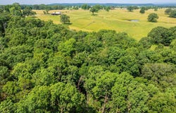 Tract 1 Harmony Mountain Road, Clinton, AR 72031