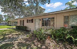617 N CLAYTON STREET, MOUNT DORA, FL 32757