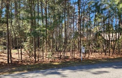 14875 BUCKINGHAM COURT, SWAN POINT, MD 20645