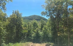 1354 E Obey Lane lot: 413, Wilder, TN 38589