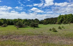 Sugarpine Lane, Lake Ann, MI 49650