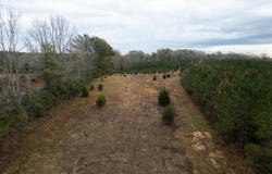 3448 Lower Centreville Road, Liberty, MS 39645