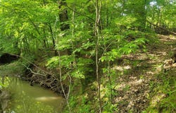 0 Tracy Rd, Millington, TN 38053
